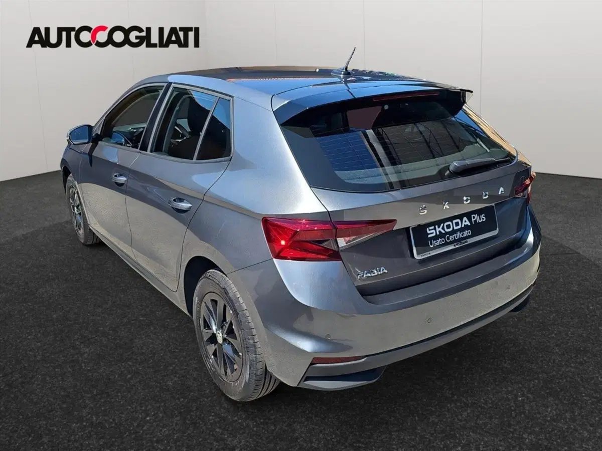Skoda Fabia usata a Lecco (7)
