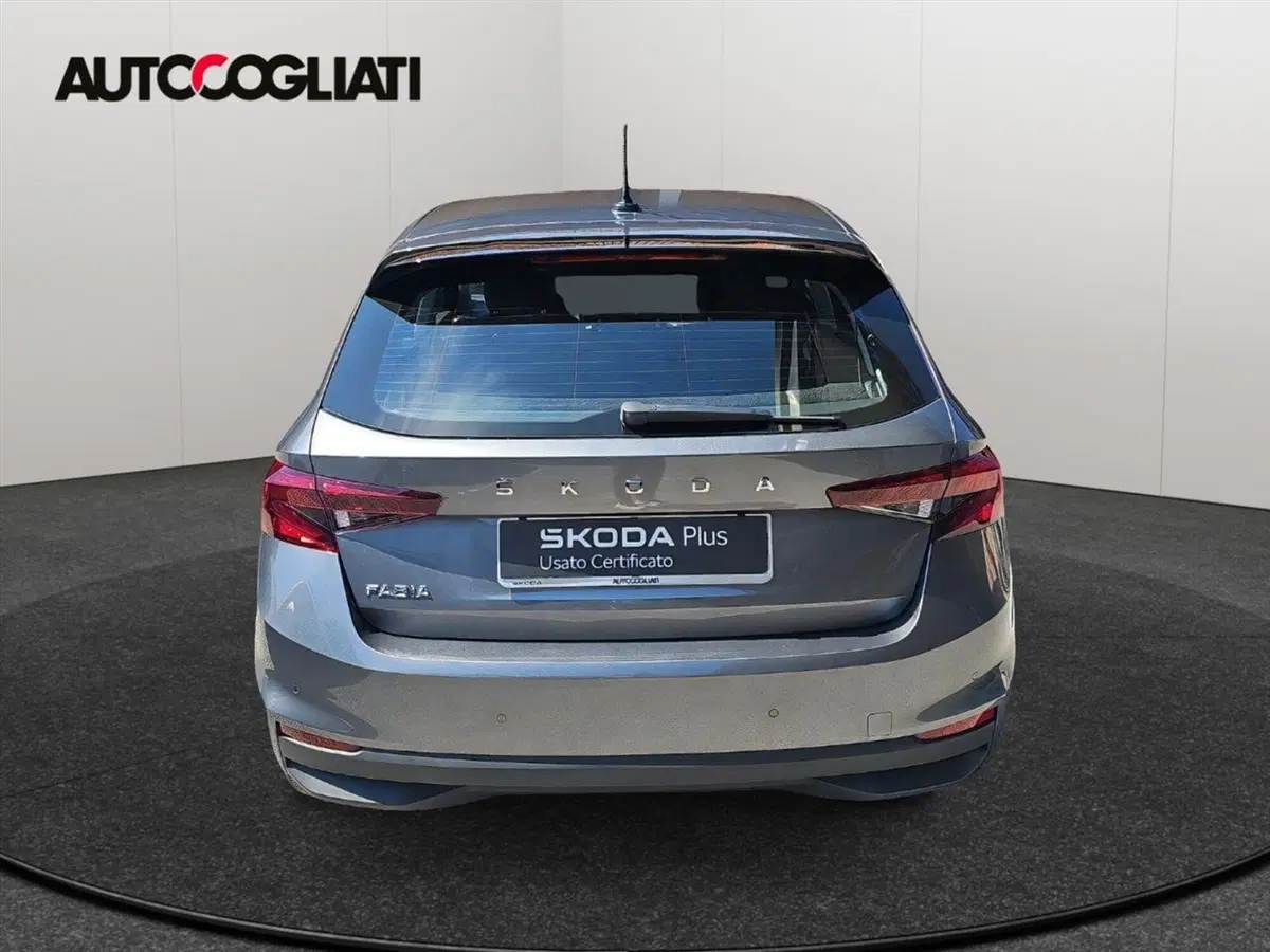 Skoda Fabia usata a Lecco (8)