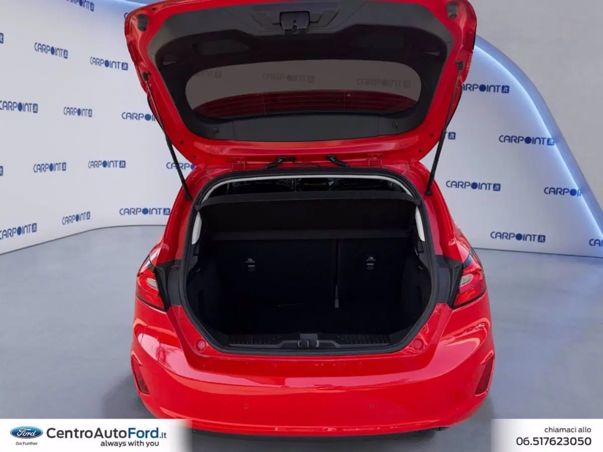 Ford Fiesta usata a Roma (17)