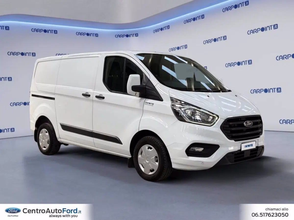 Ford Transit Custom Furgone usata a Roma (7)