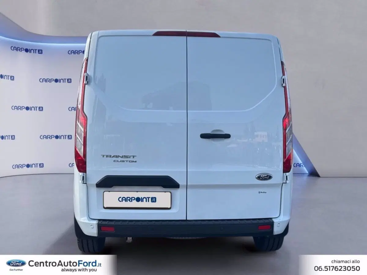 Ford Transit Custom Furgone usata a Roma (4)