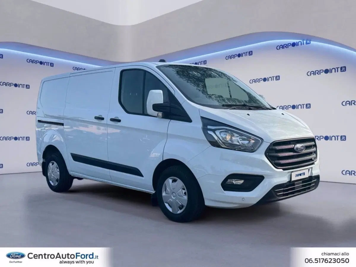 Ford Transit Custom Furgone usata a Roma (7)
