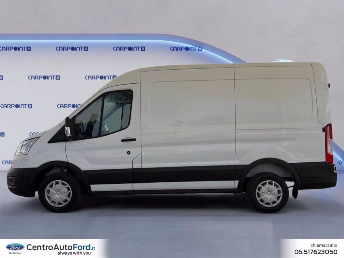 Ford Transit Furgone usata a Roma (2)