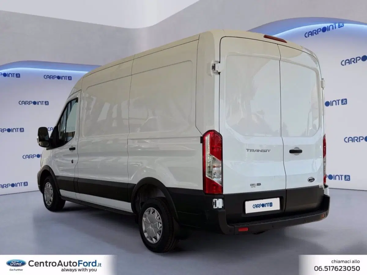 Ford Transit Furgone usata a Roma (3)