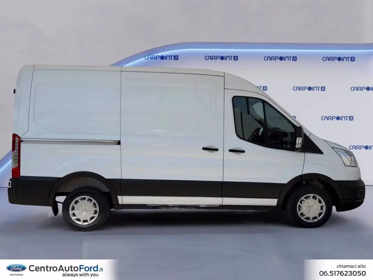 Ford Transit Furgone usata a Roma (6)