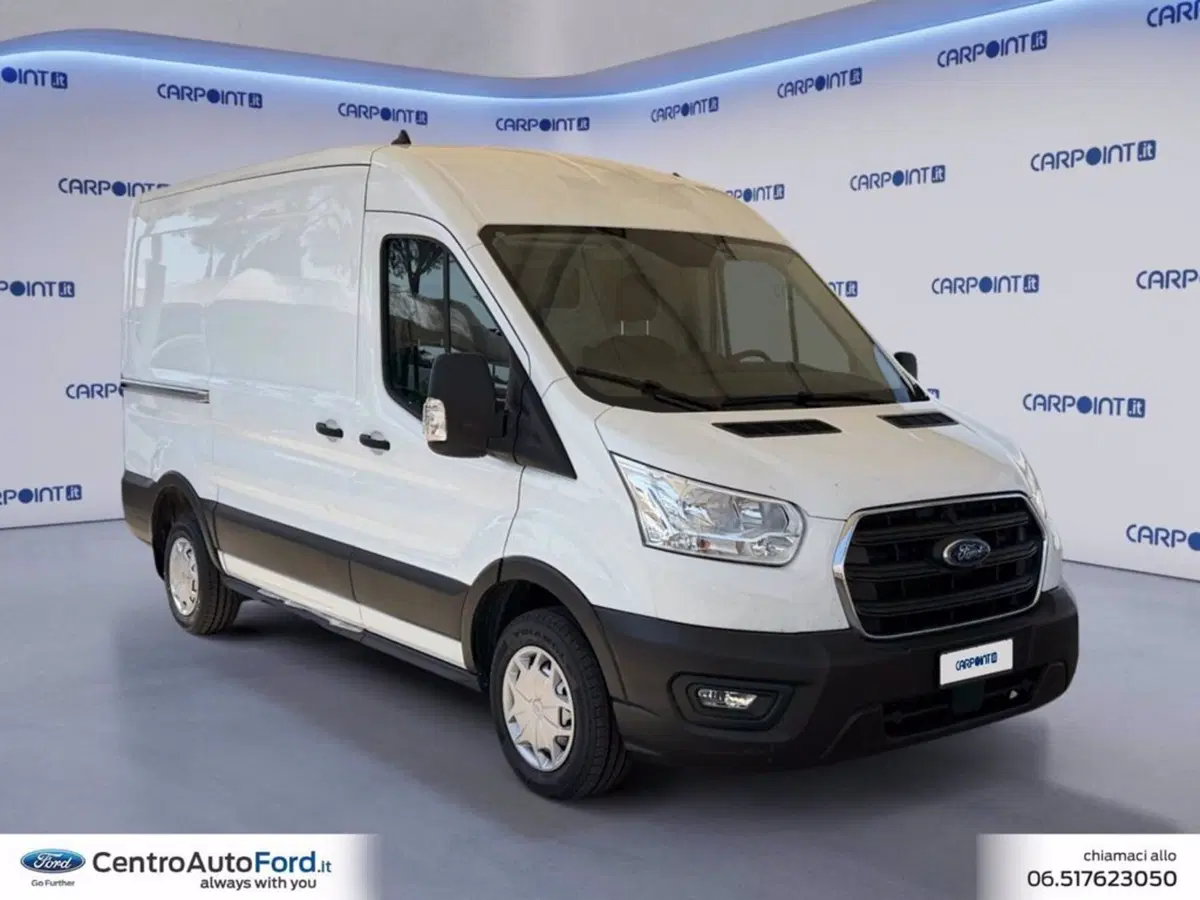 Ford Transit Furgone usata a Roma (7)