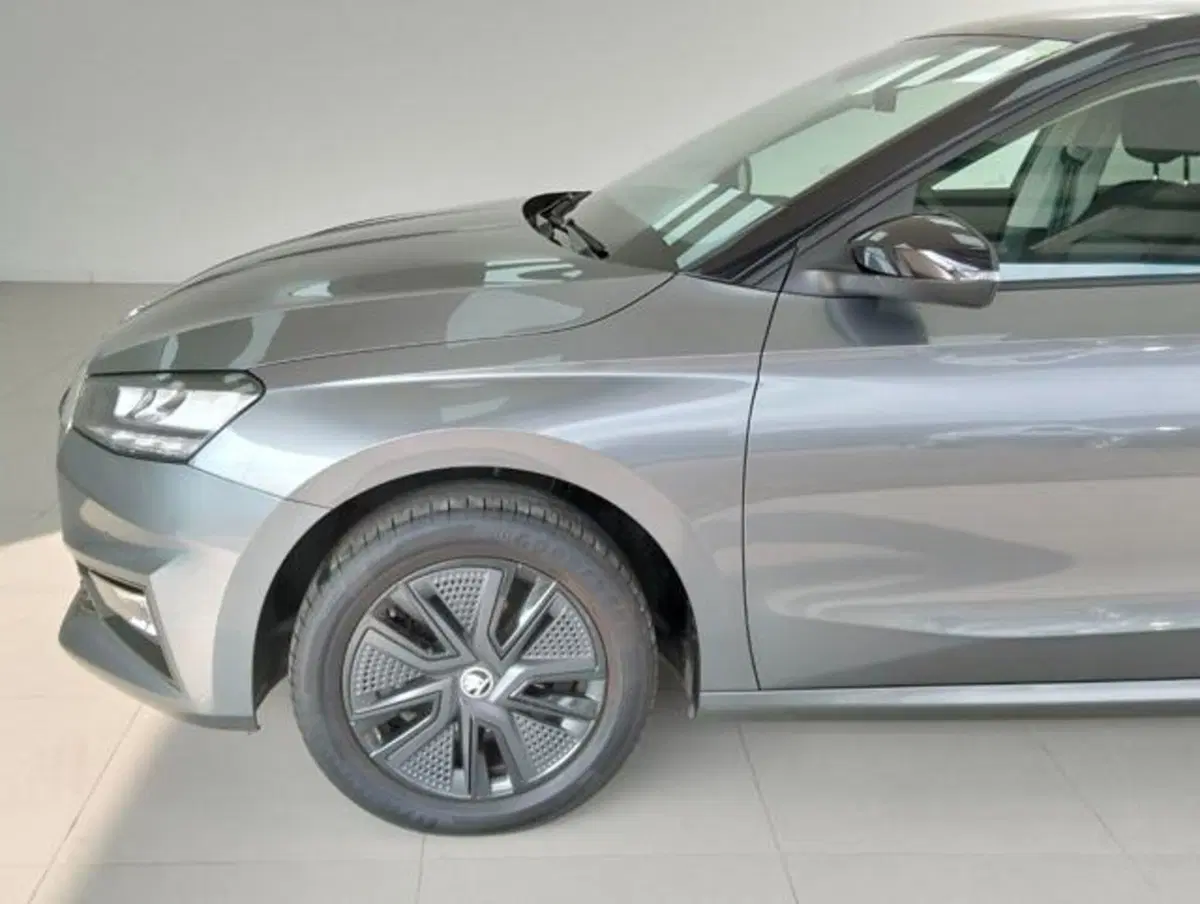Skoda Fabia usata a Como (8)