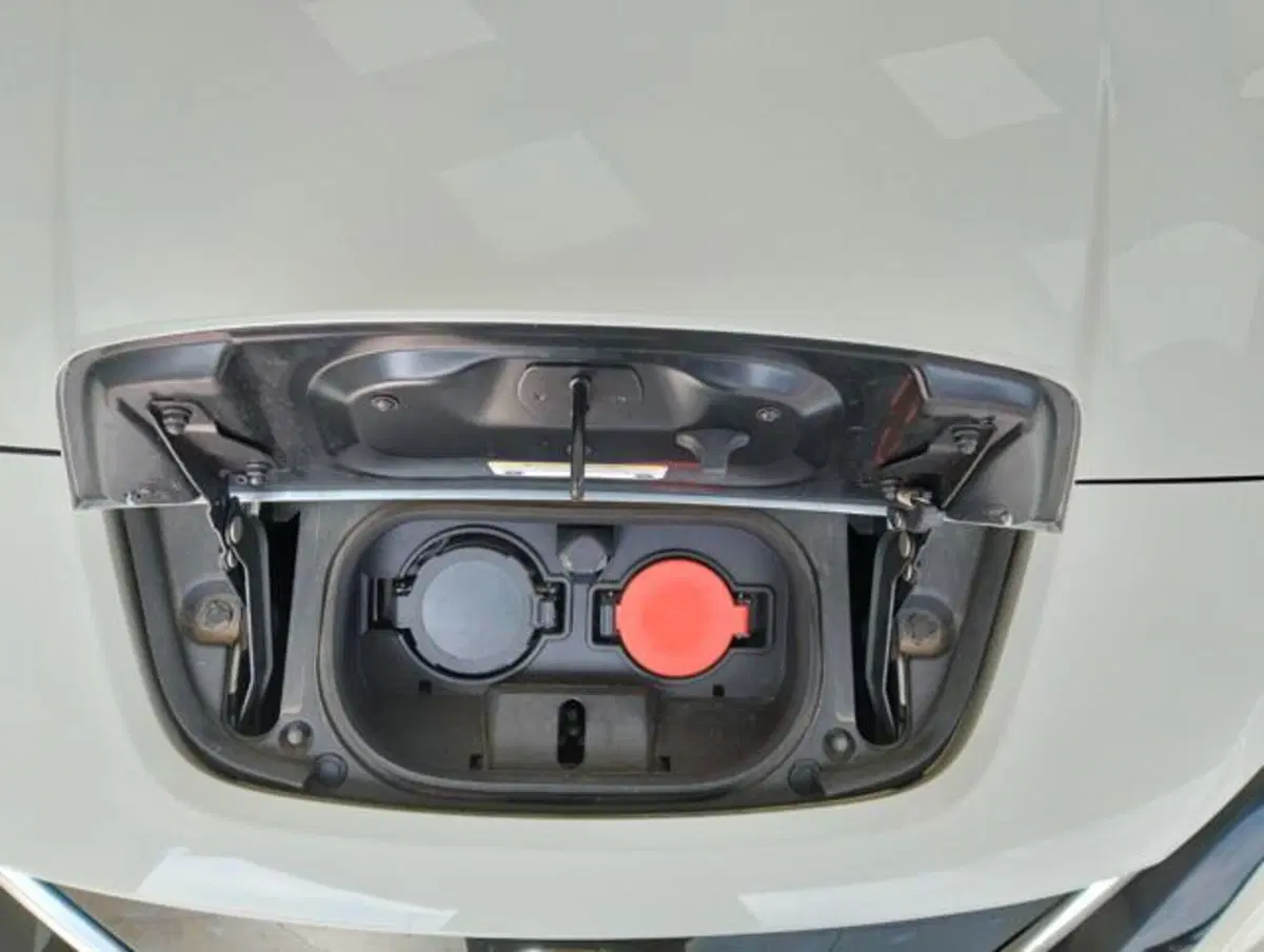 Nissan Leaf usata a Como (19)
