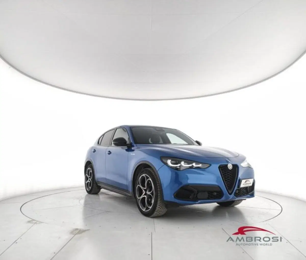 Alfa Romeo Stelvio usata a Perugia (2)