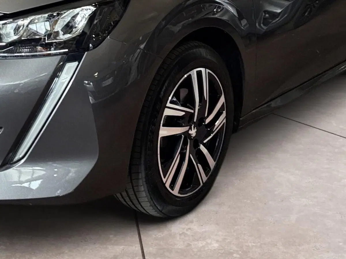 Peugeot 208 usata a Torino (15)