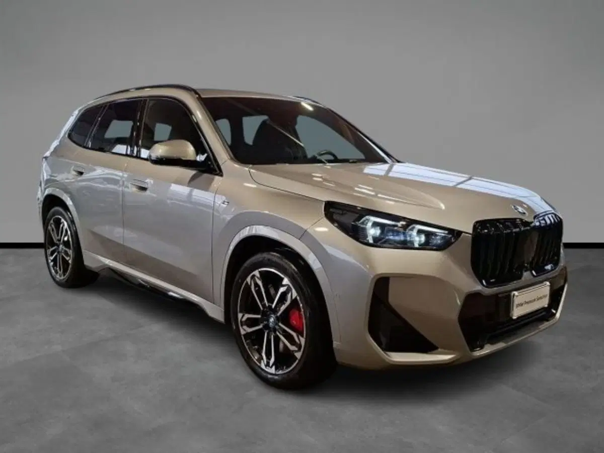 BMW X1 usata a Verona (16)