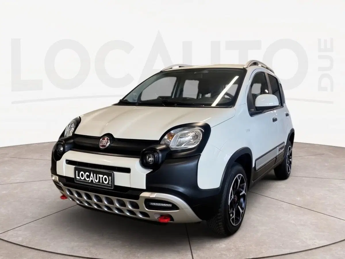 Fiat Panda Cross usata a Torino