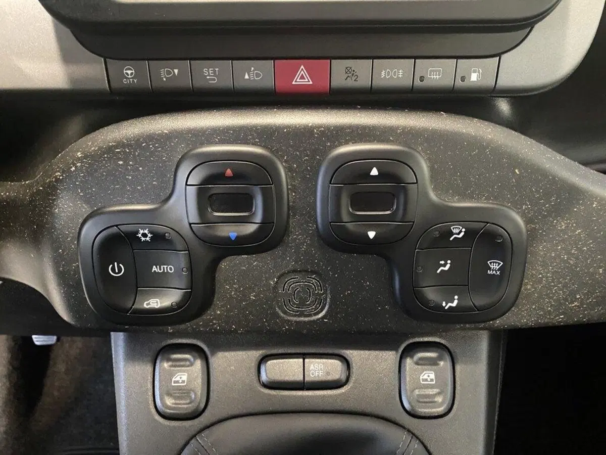 Fiat Panda Cross usata a Torino (11)