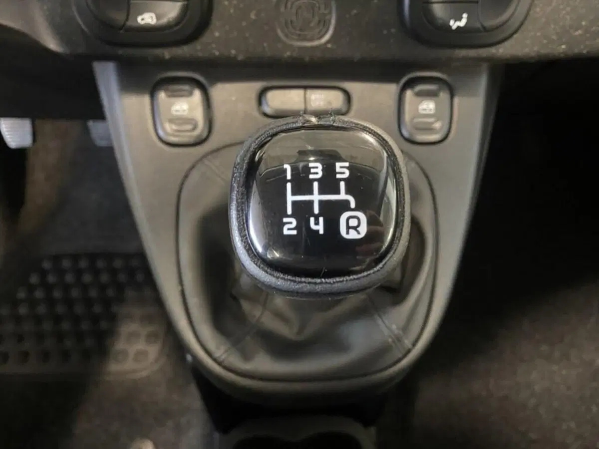 Fiat Panda Cross usata a Torino (12)