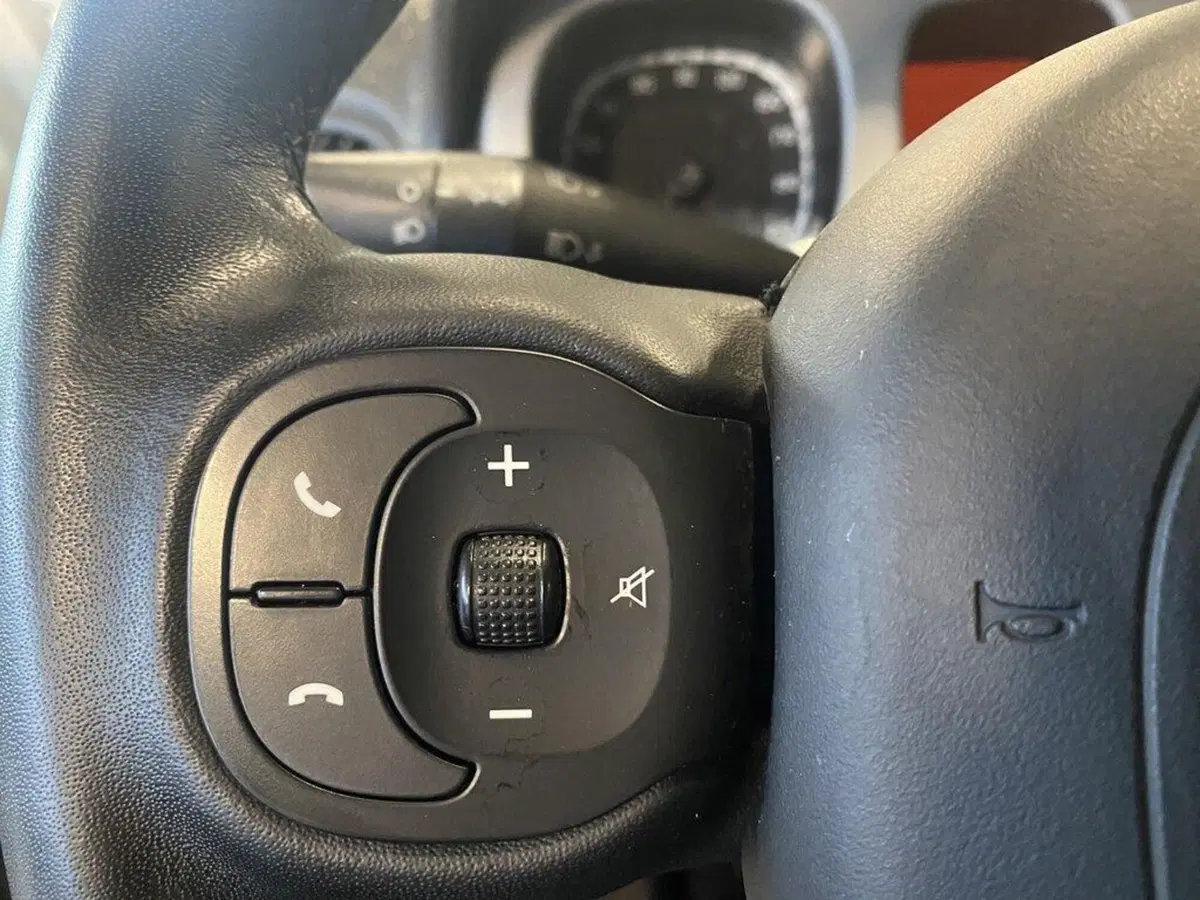 Fiat Panda Cross usata a Torino (13)
