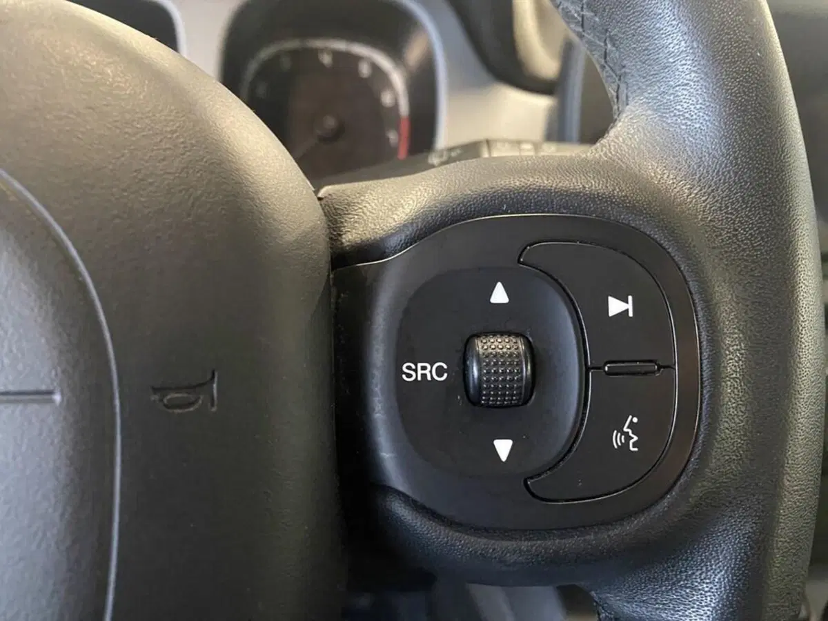 Fiat Panda Cross usata a Torino (14)
