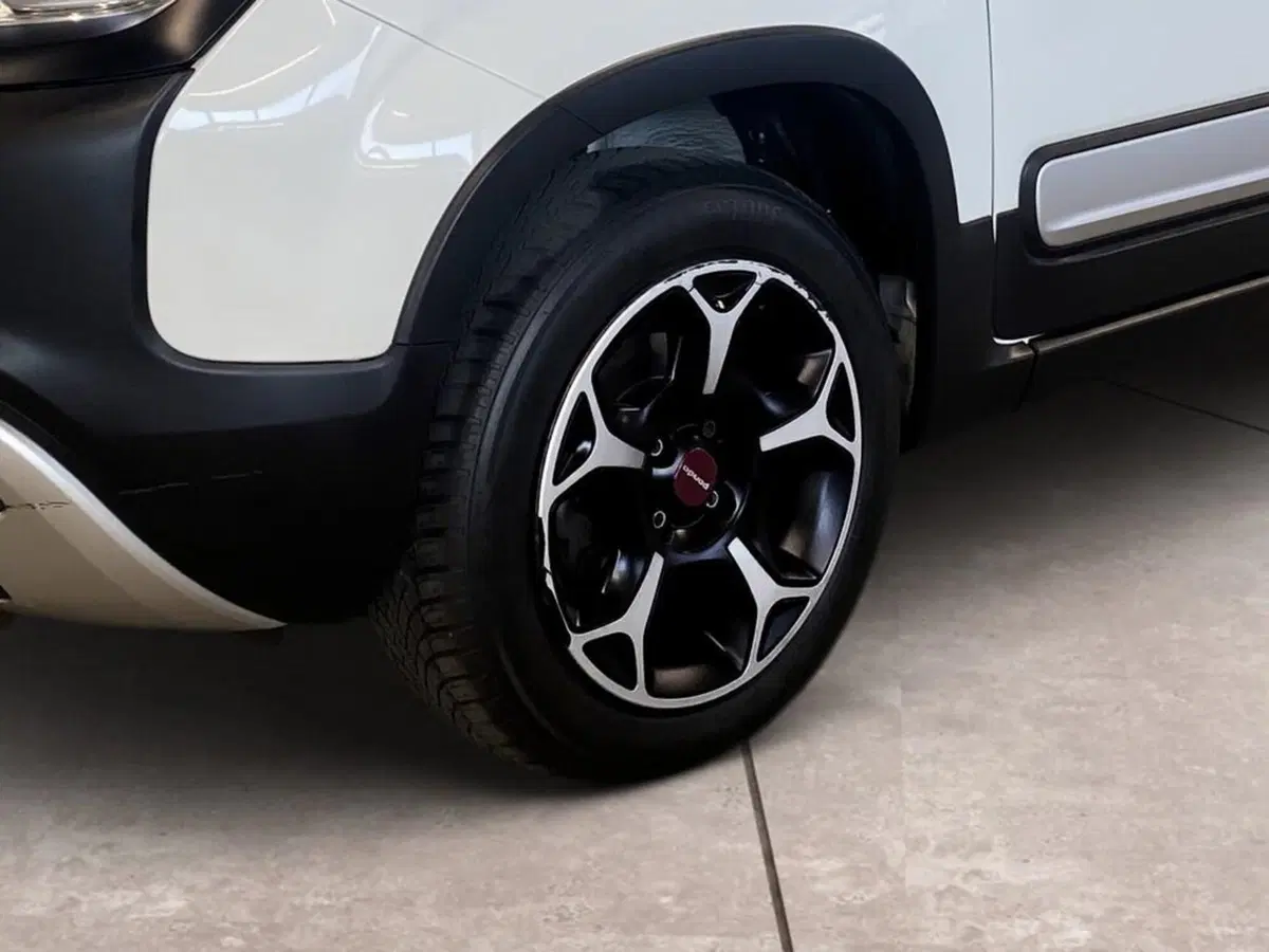 Fiat Panda Cross usata a Torino (15)
