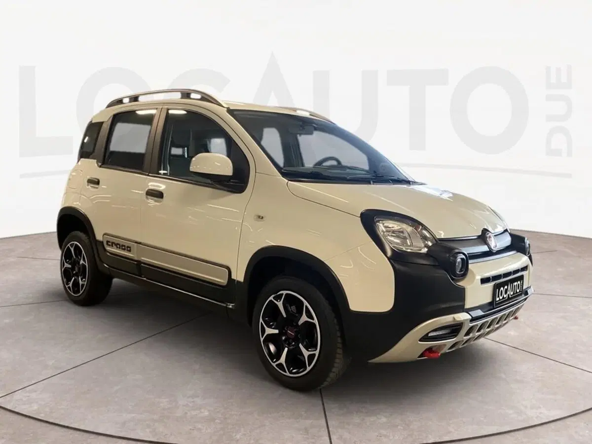 Fiat Panda Cross usata a Torino (3)