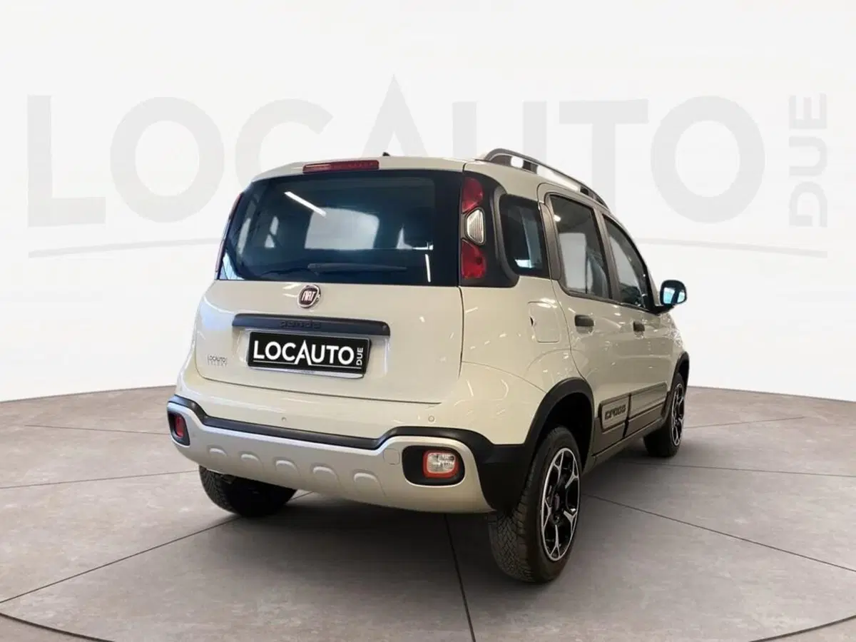 Fiat Panda Cross usata a Torino (4)