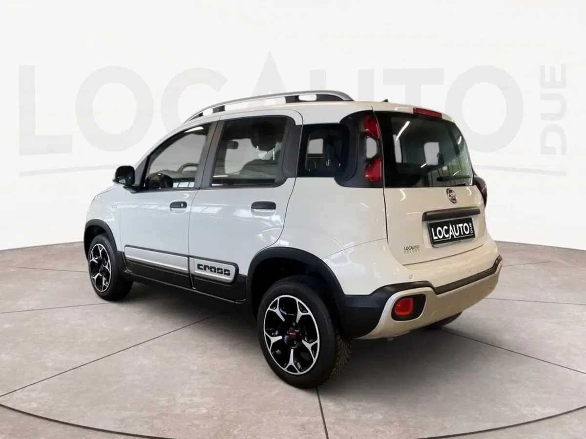 Fiat Panda Cross usata a Torino (5)