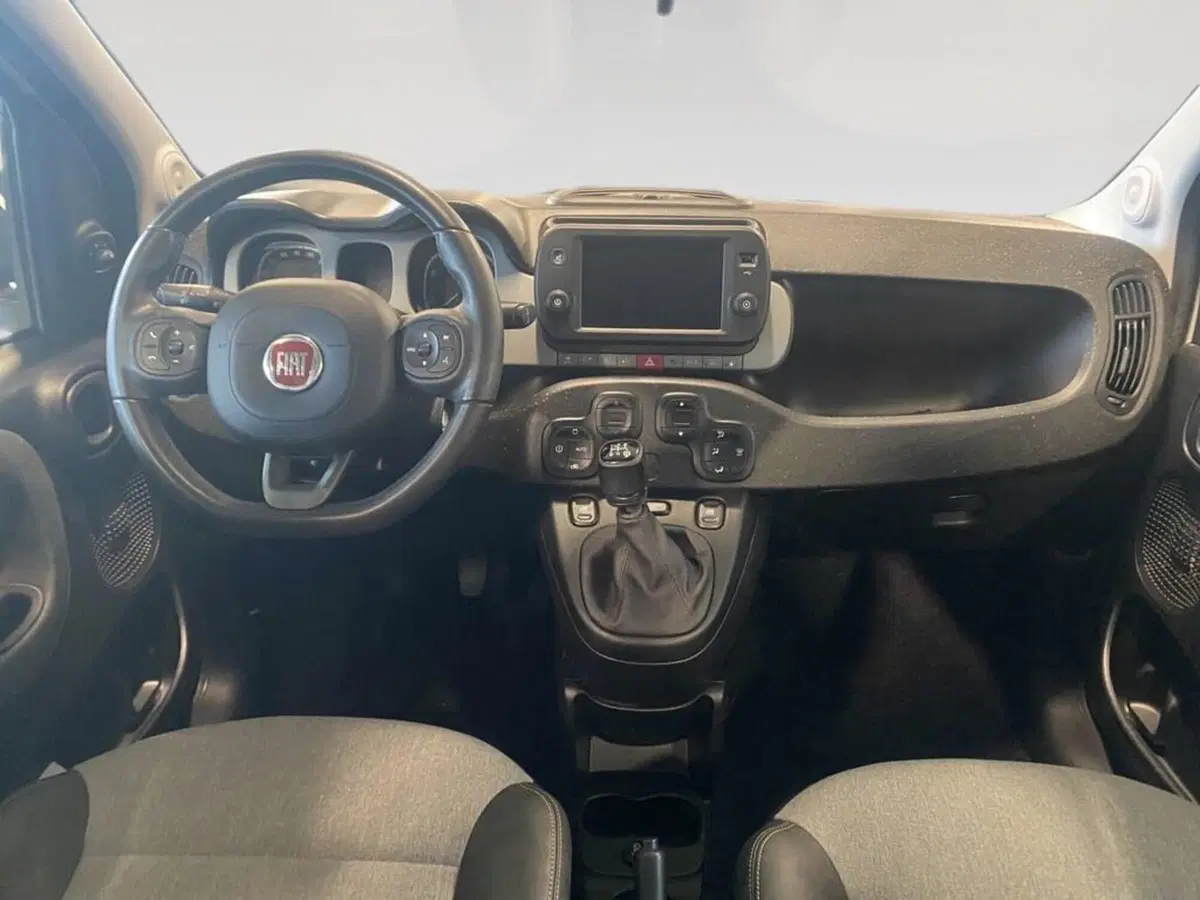 Fiat Panda Cross usata a Torino (6)