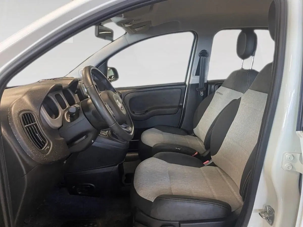 Fiat Panda Cross usata a Torino (7)