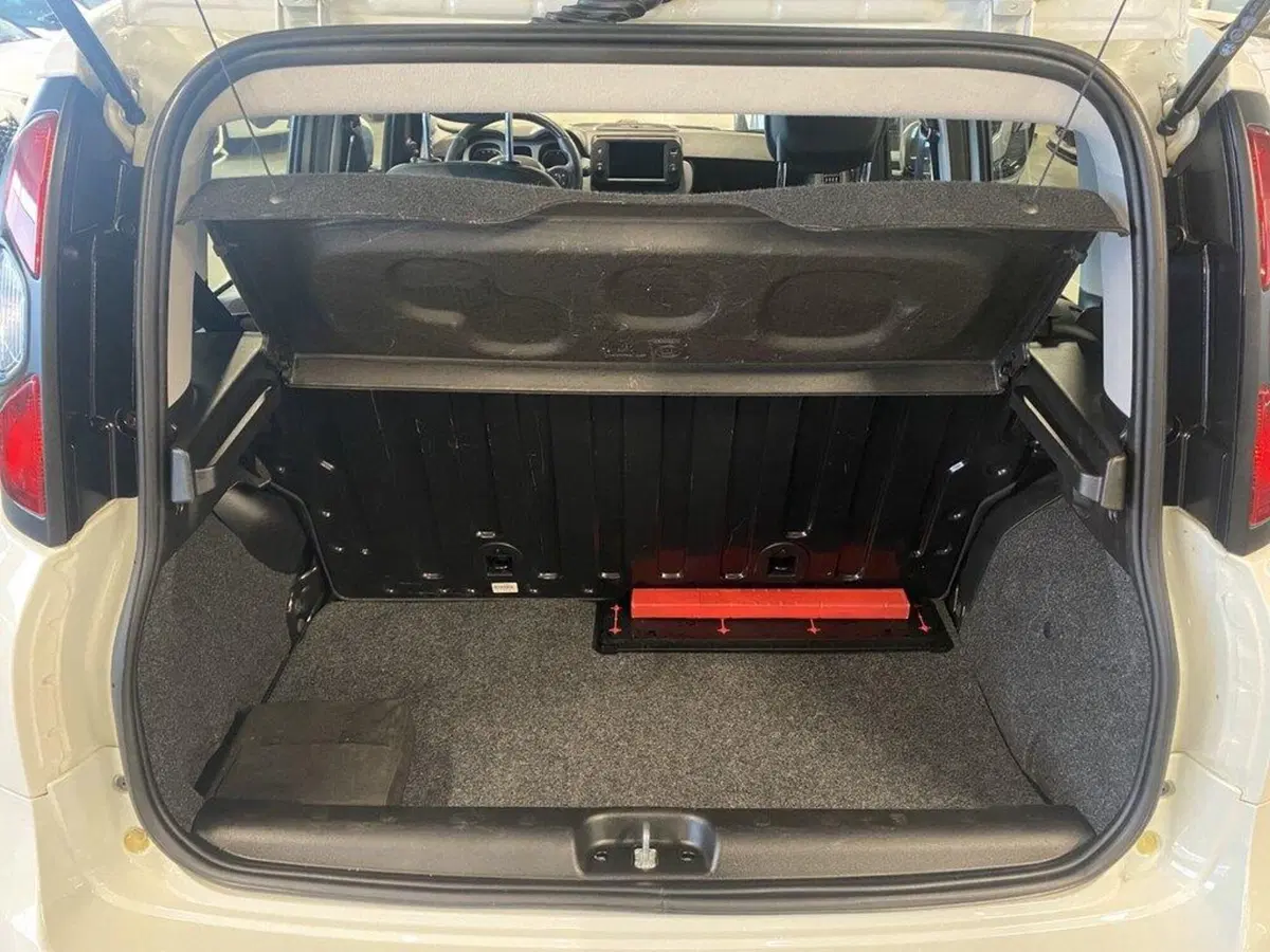 Fiat Panda Cross usata a Torino (9)