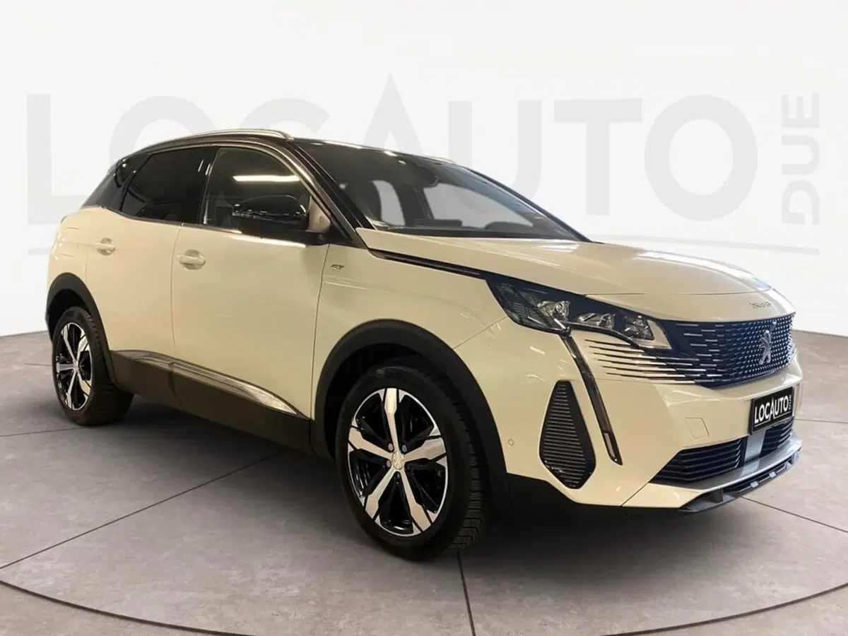 Peugeot 3008 usata a Torino (3)