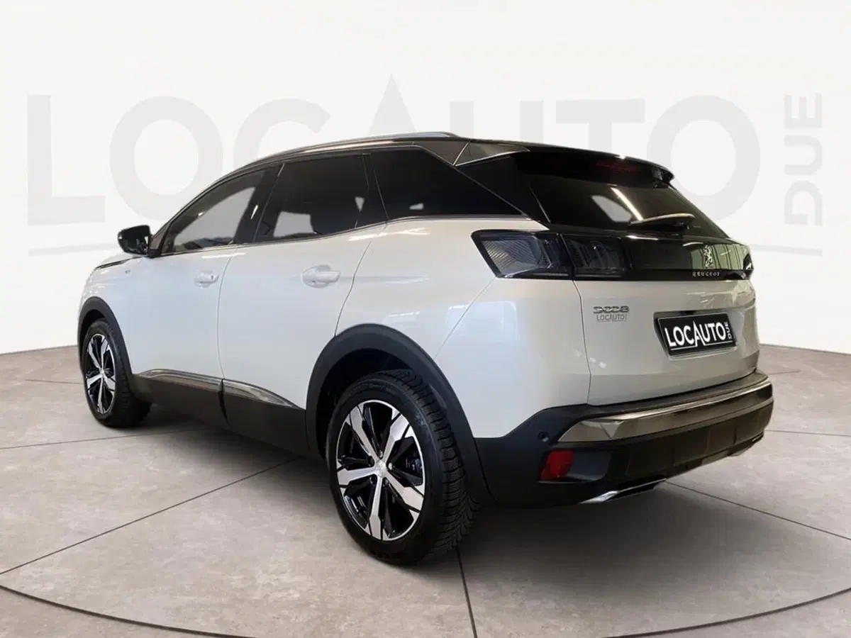 Peugeot 3008 usata a Torino (5)