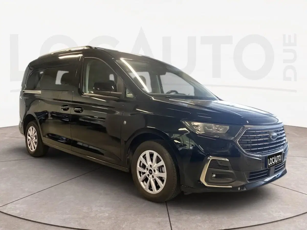 Ford Tourneo Connect usata a Torino (3)