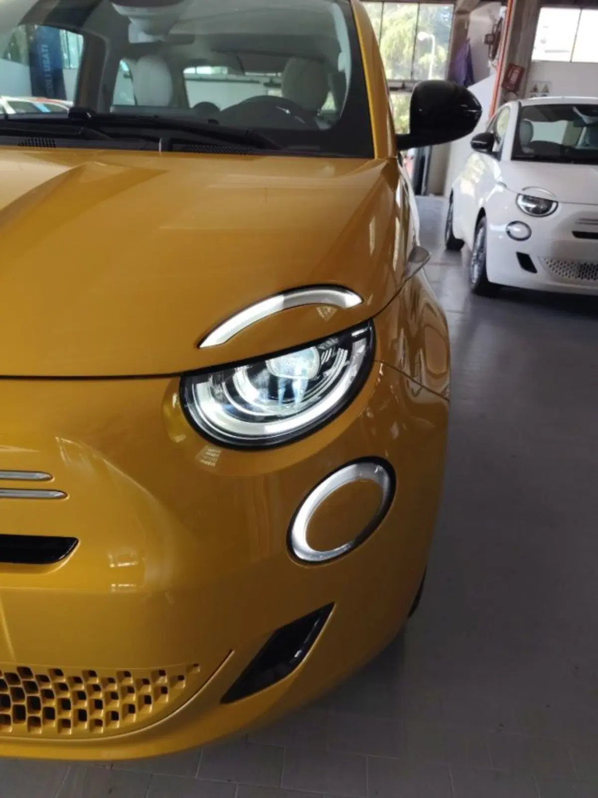 Fiat 500 nuova a Forlì-Cesena (15)