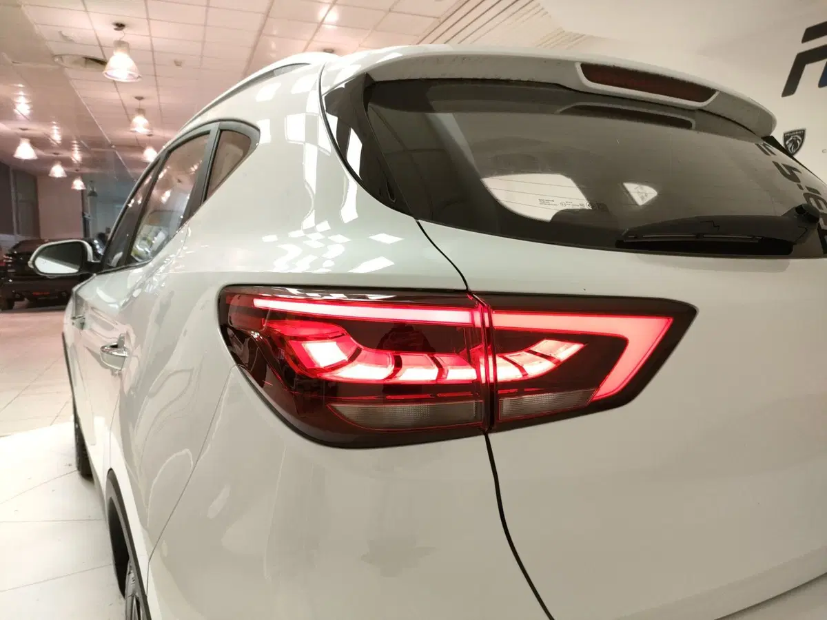 Mg ZS nuova a L'Aquila (9)