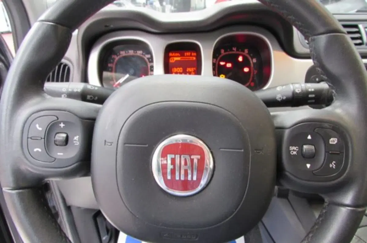 Fiat Panda Cross usata a Milano (13)