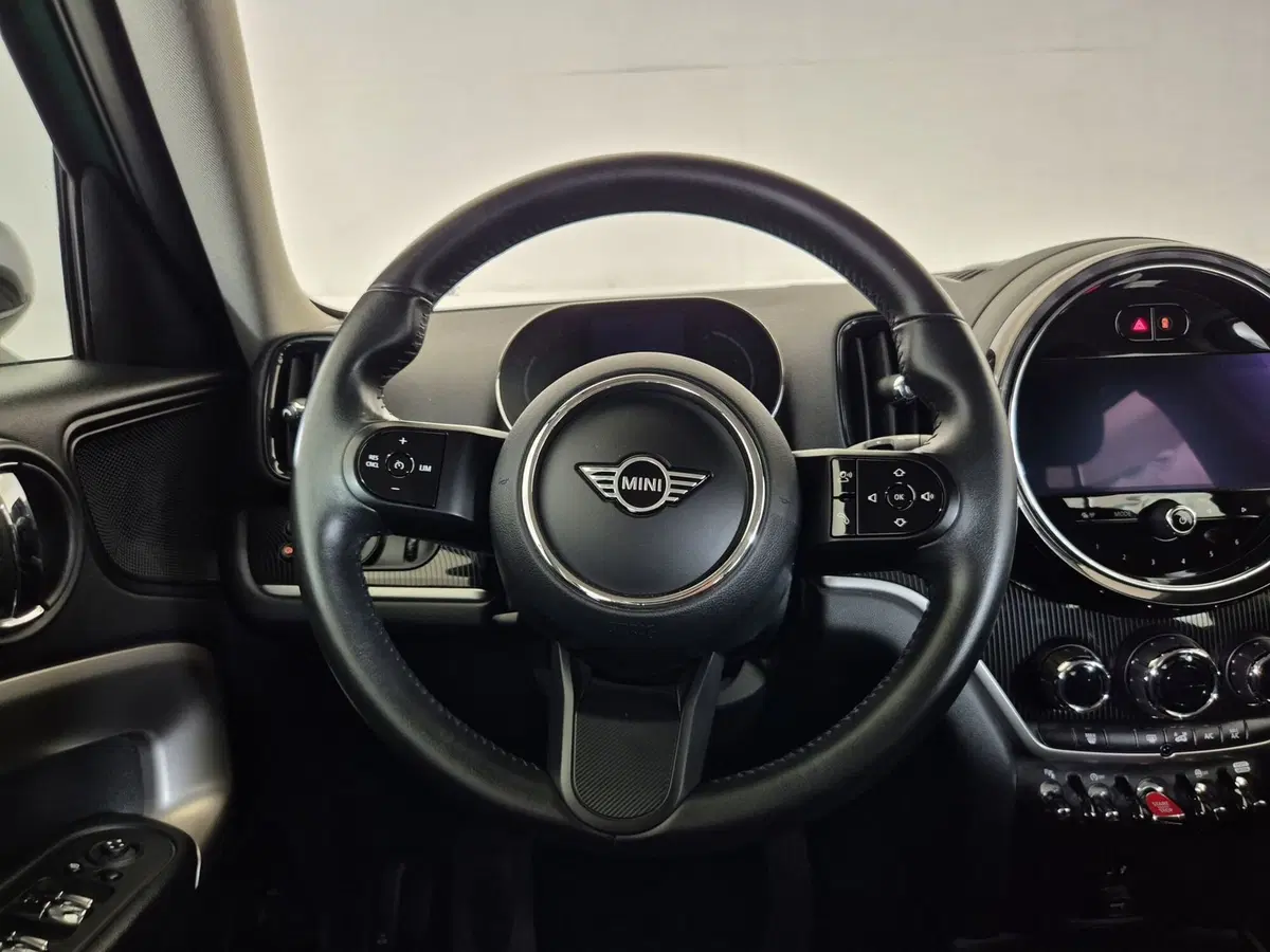 MINI Mini Countryman usata a Alessandria (10)