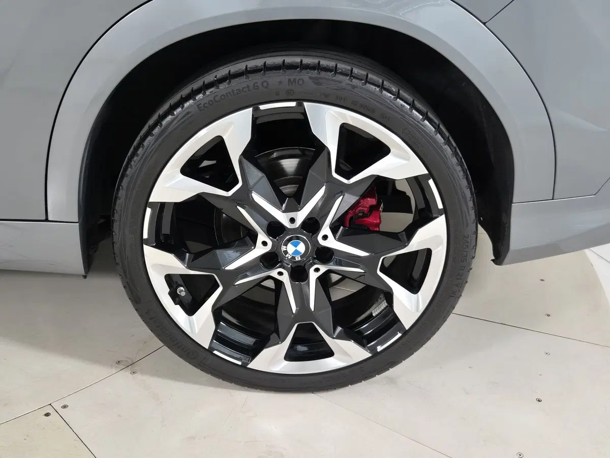 BMW X2 usata a Torino (15)