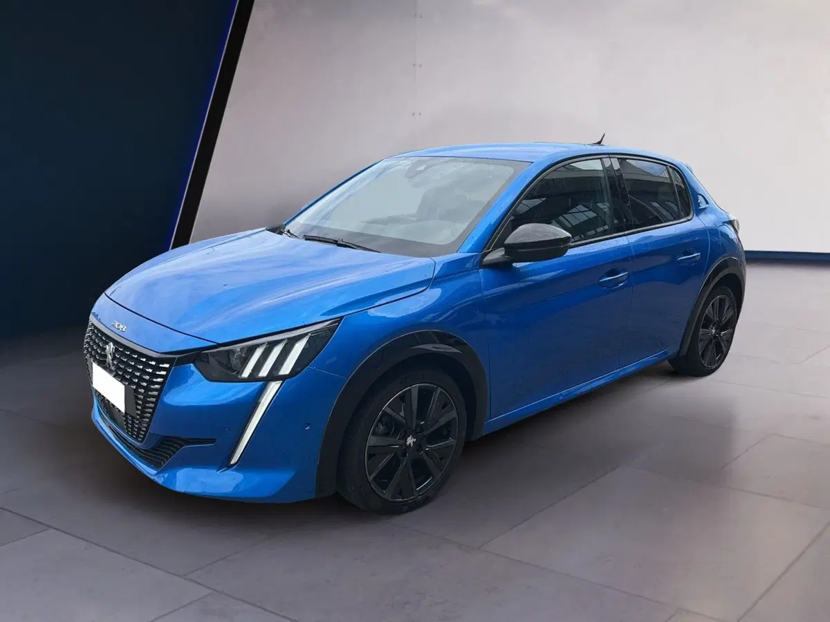 Peugeot 208 usata a Torino (2)