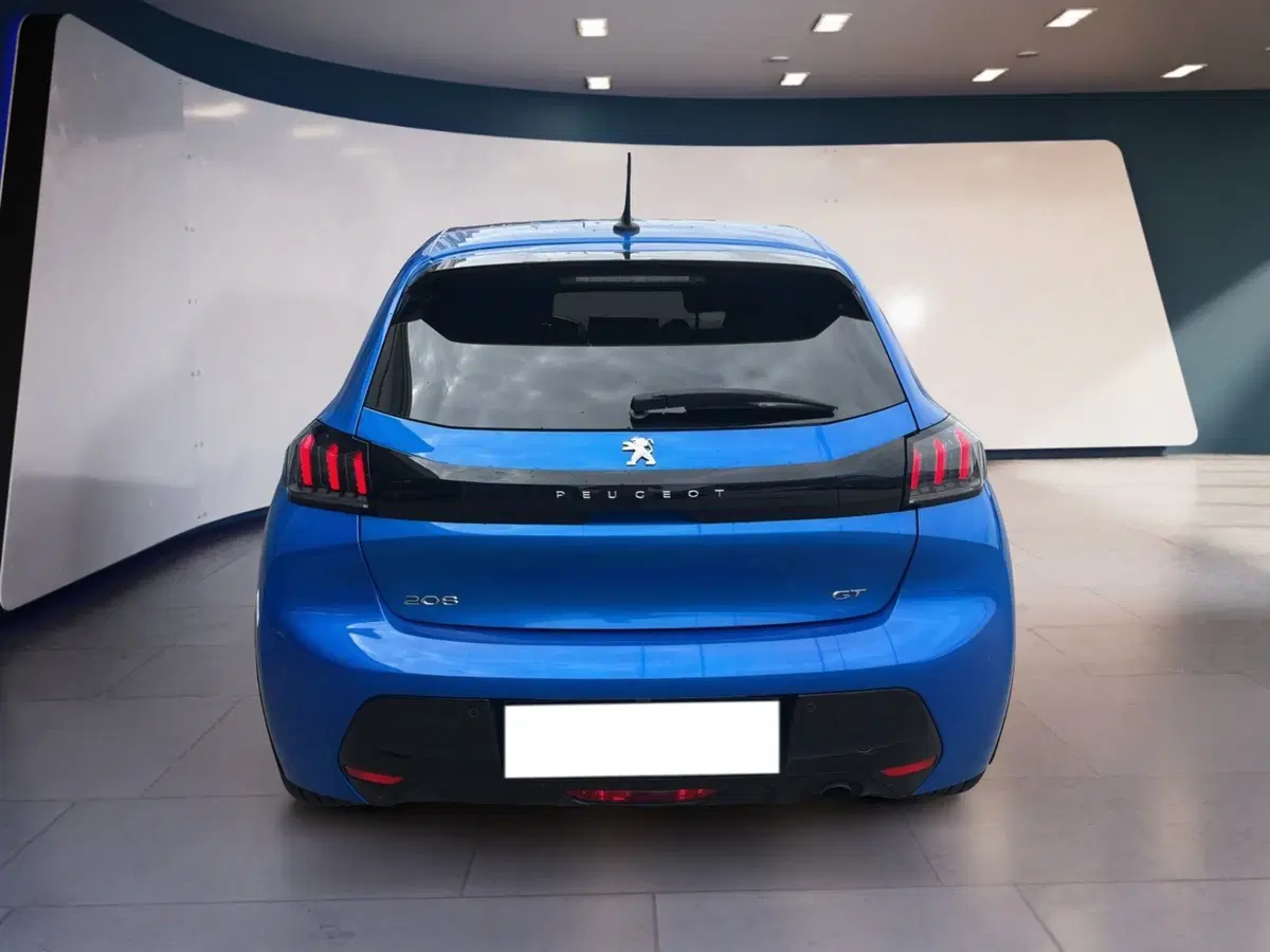 Peugeot 208 usata a Torino (5)