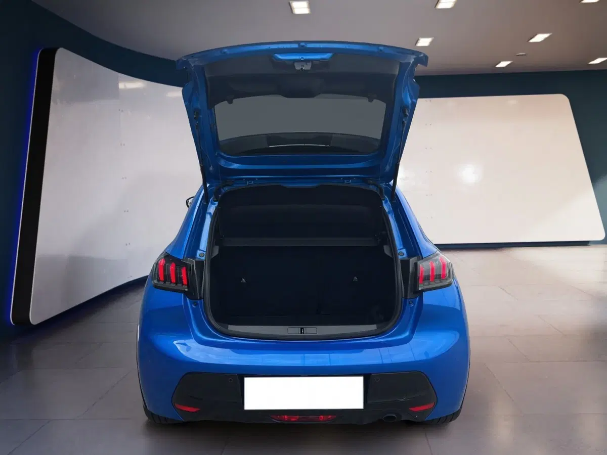 Peugeot 208 usata a Torino (7)