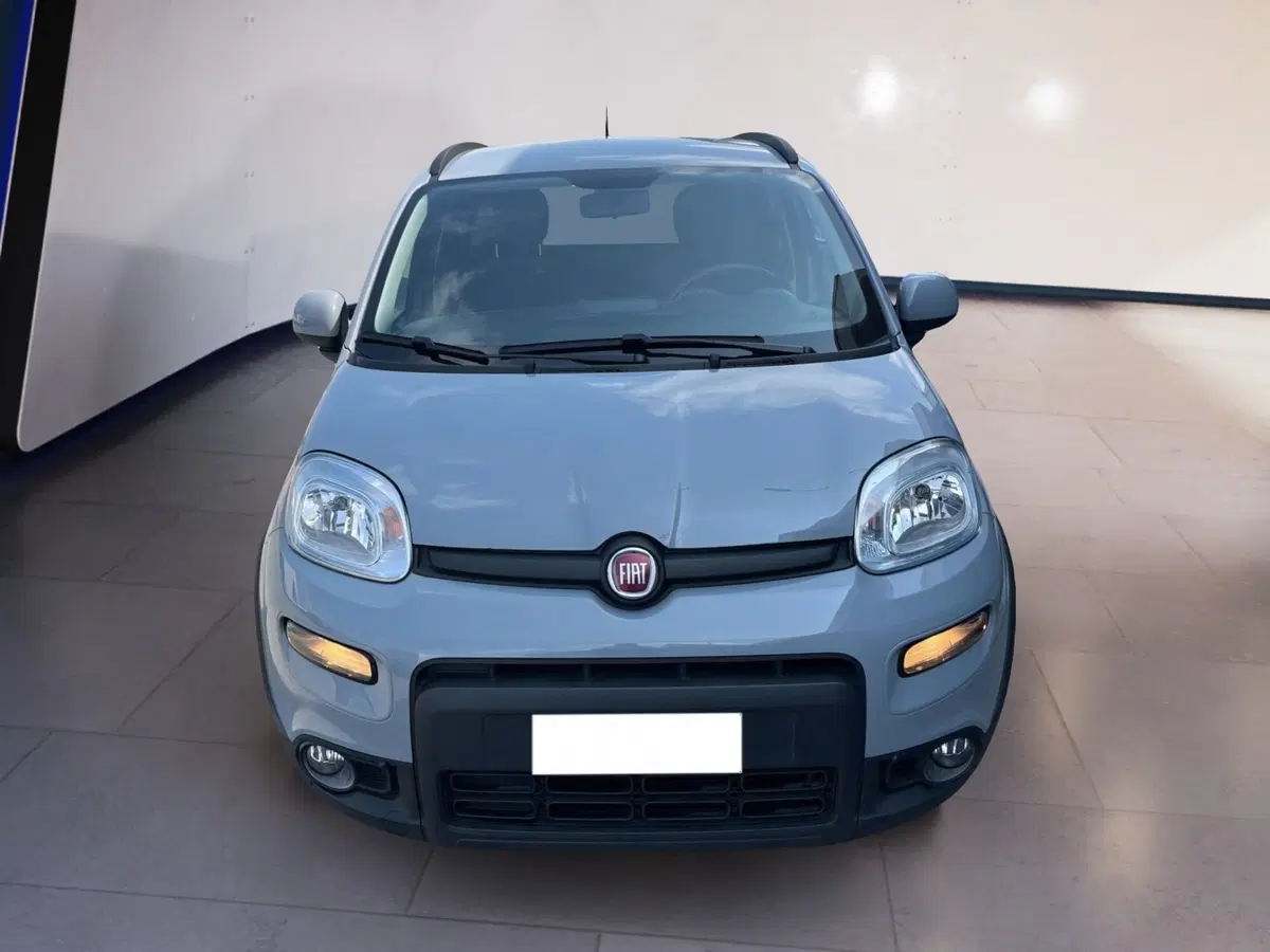 Fiat Panda usata a Torino