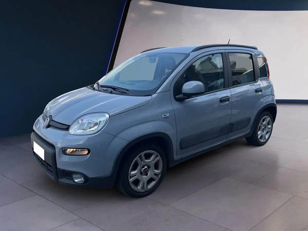 Fiat Panda usata a Torino (2)