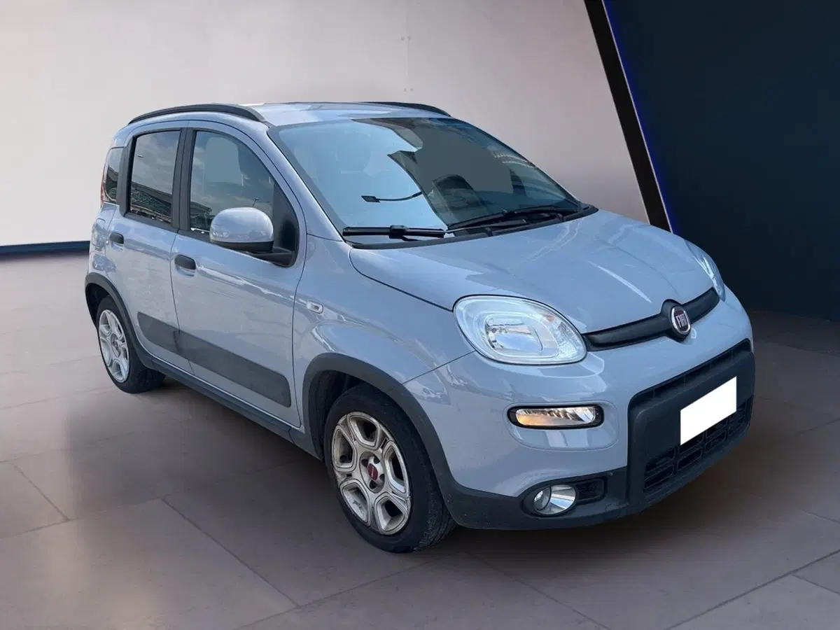 Fiat Panda usata a Torino (6)