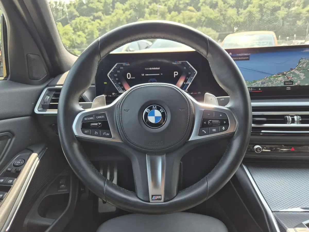 BMW Serie 3 usata  (19)