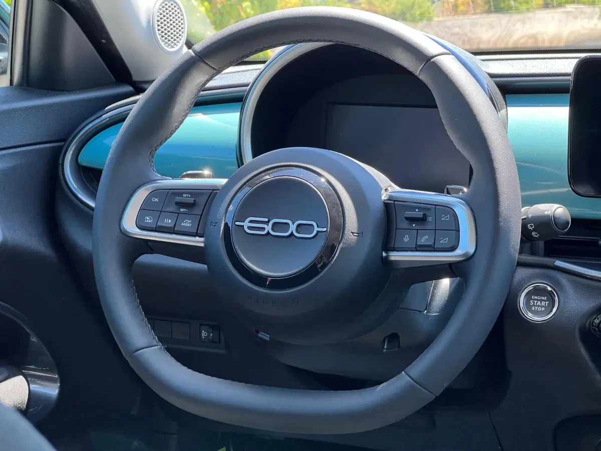 Fiat 600 usata a Matera (20)