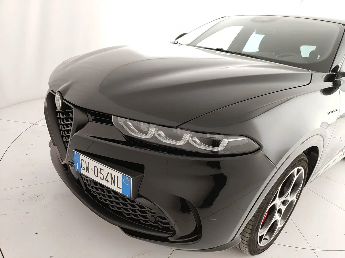 Alfa Romeo Tonale usata a Caserta (13)