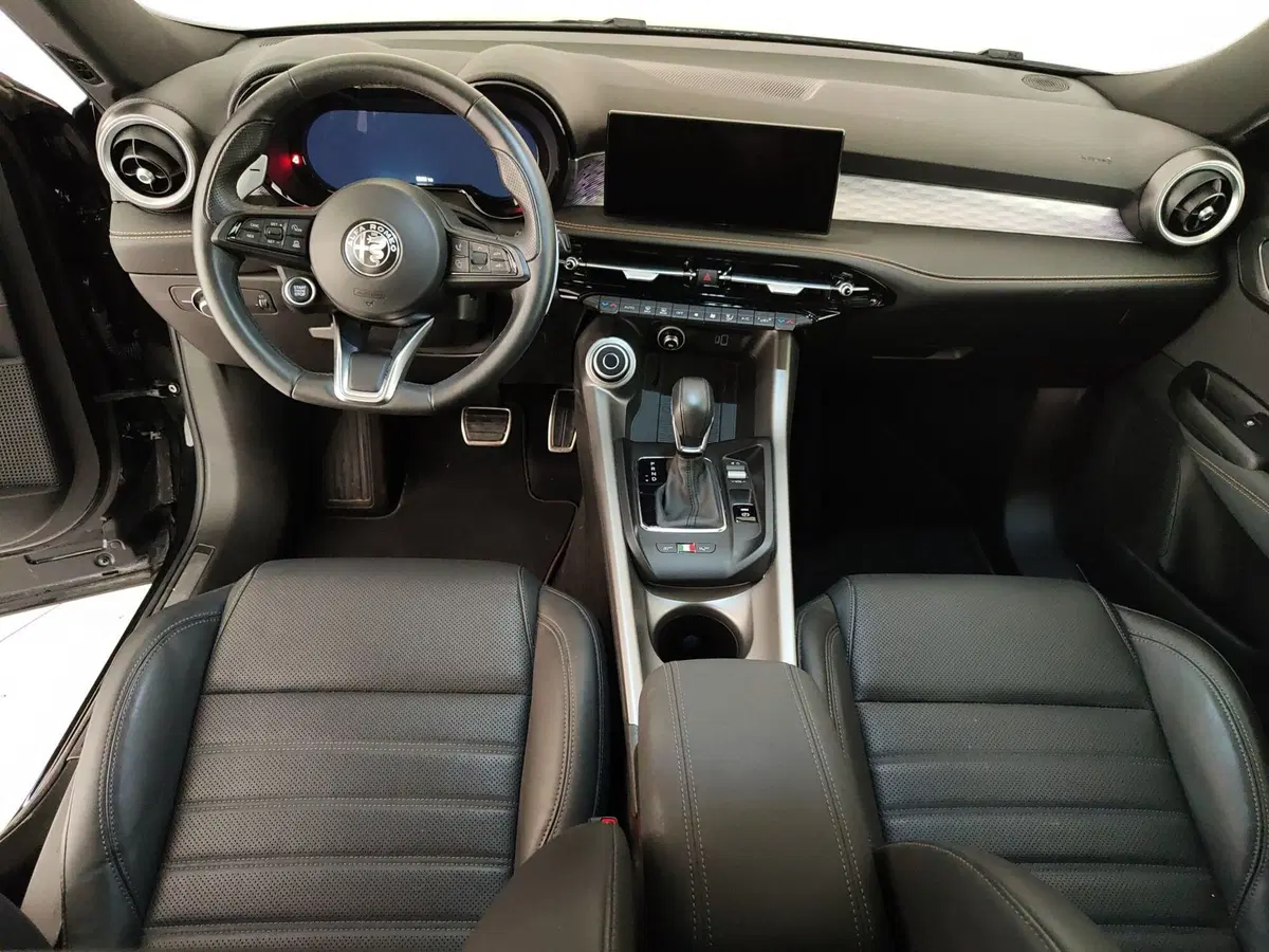 Alfa Romeo Tonale usata a Caserta (16)