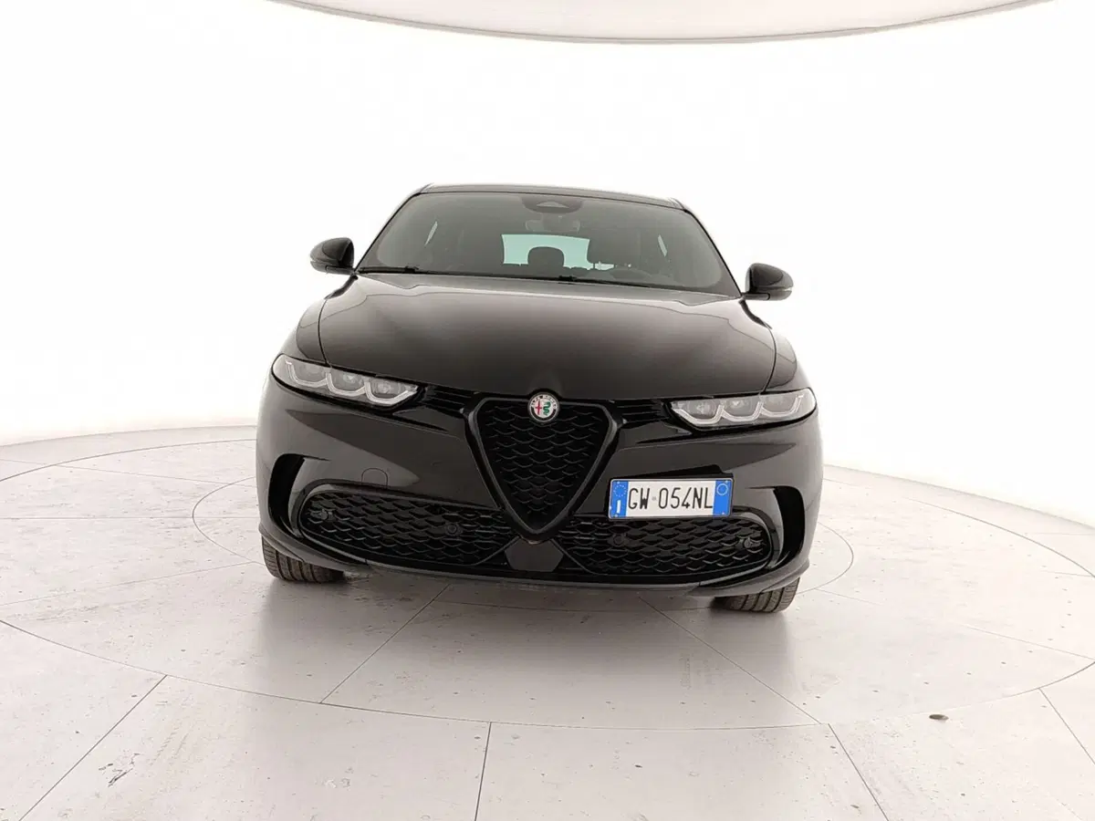 Alfa Romeo Tonale usata a Caserta (2)