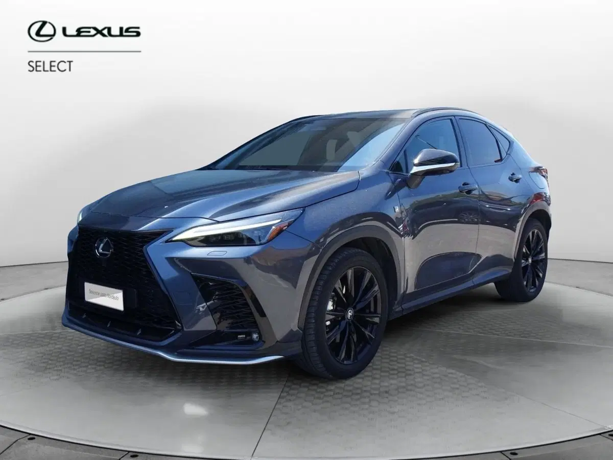 Lexus NX usata a Venezia