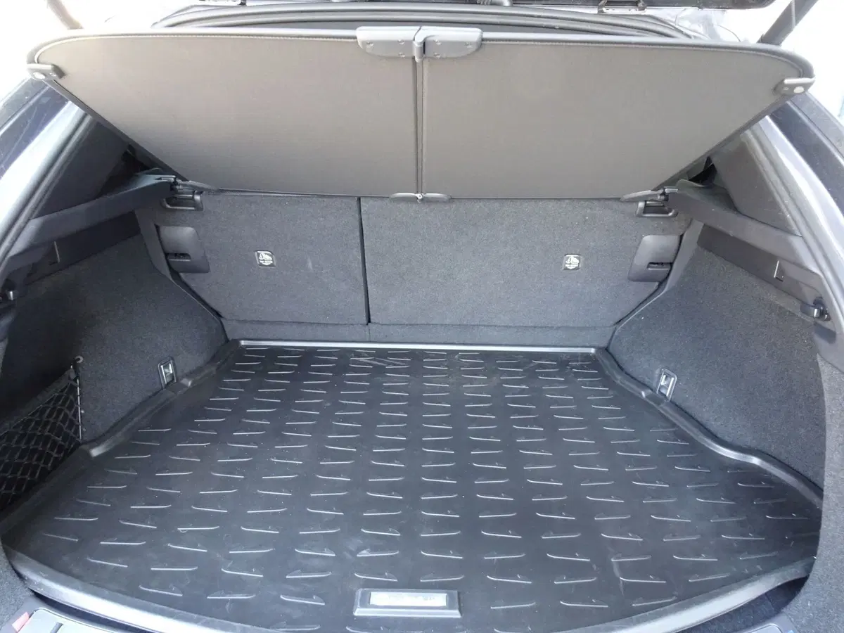 Lexus NX usata a Venezia (19)