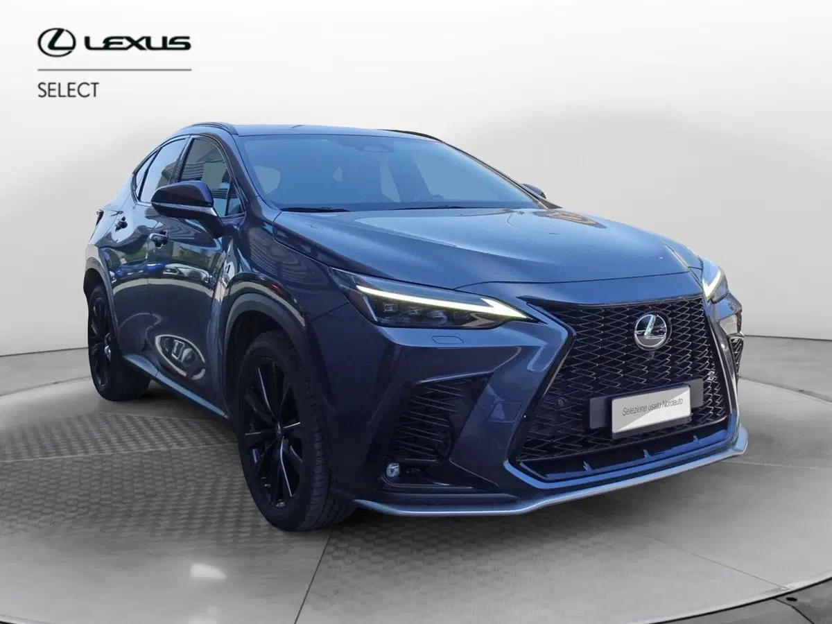 Lexus NX usata a Venezia (2)