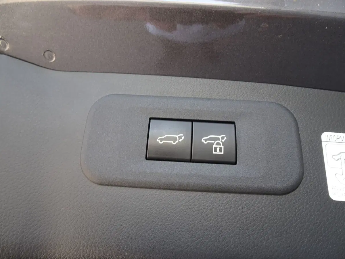 Lexus NX usata a Venezia (20)
